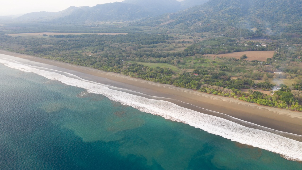 Photo of Others in Dominical