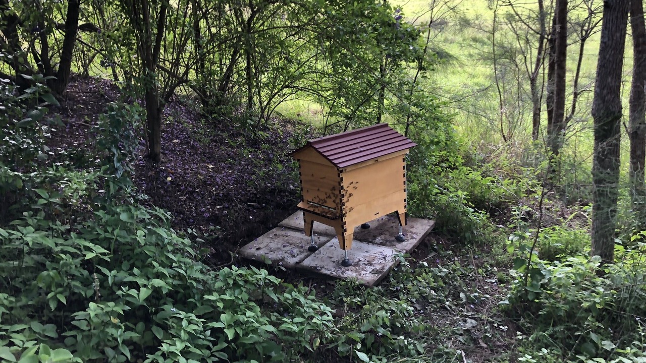 Photo of Outdoor in Kandanga