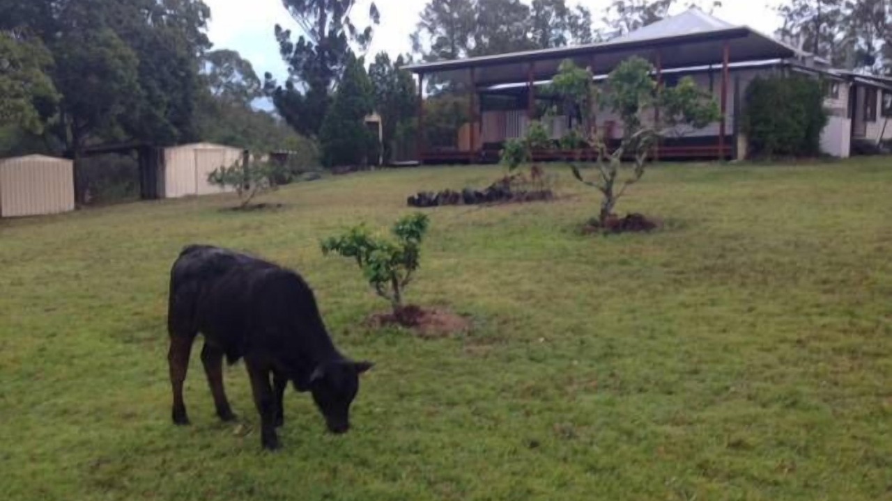 Photo of Outdoor in Kandanga
