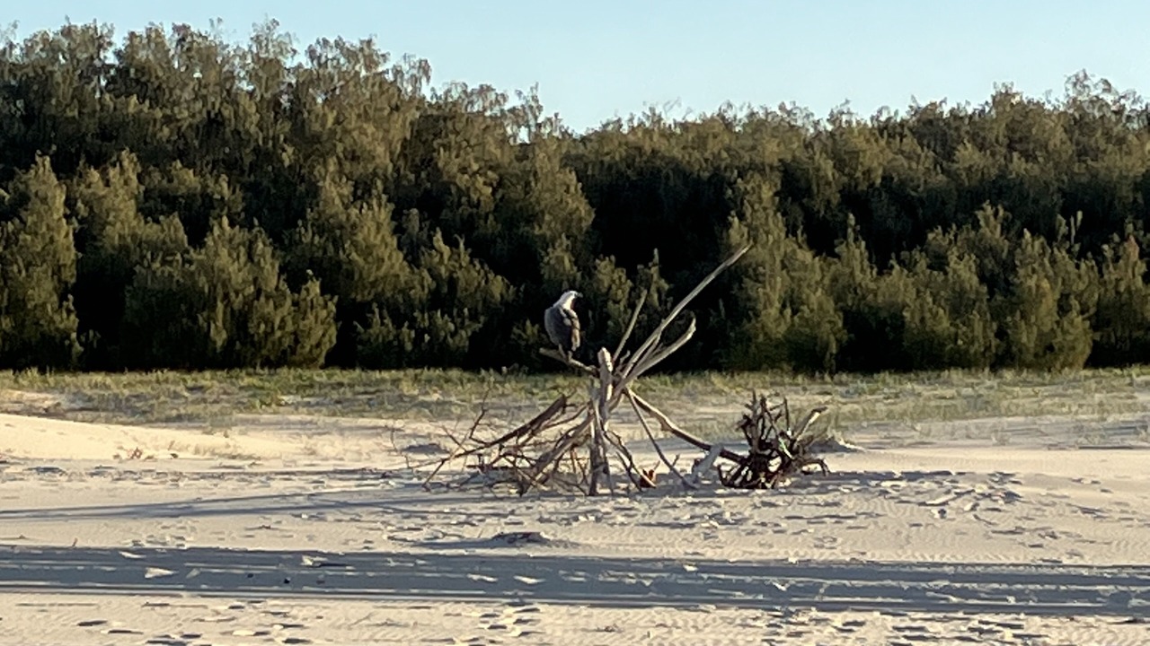 Photo of Others in Brisbane Waterfront