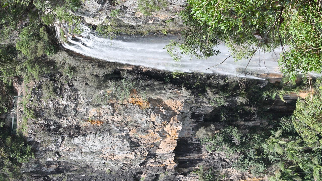 Photo of Outdoor in Springbrook