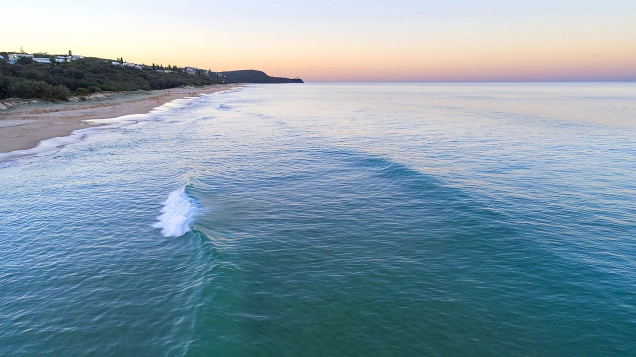 Photo of Others in Sunshine Beach