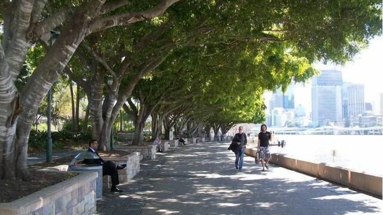Photo of Others in South Brisbane
