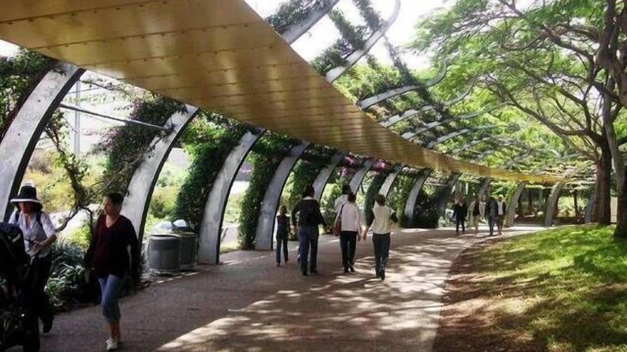 Photo of Outdoor in South Brisbane
