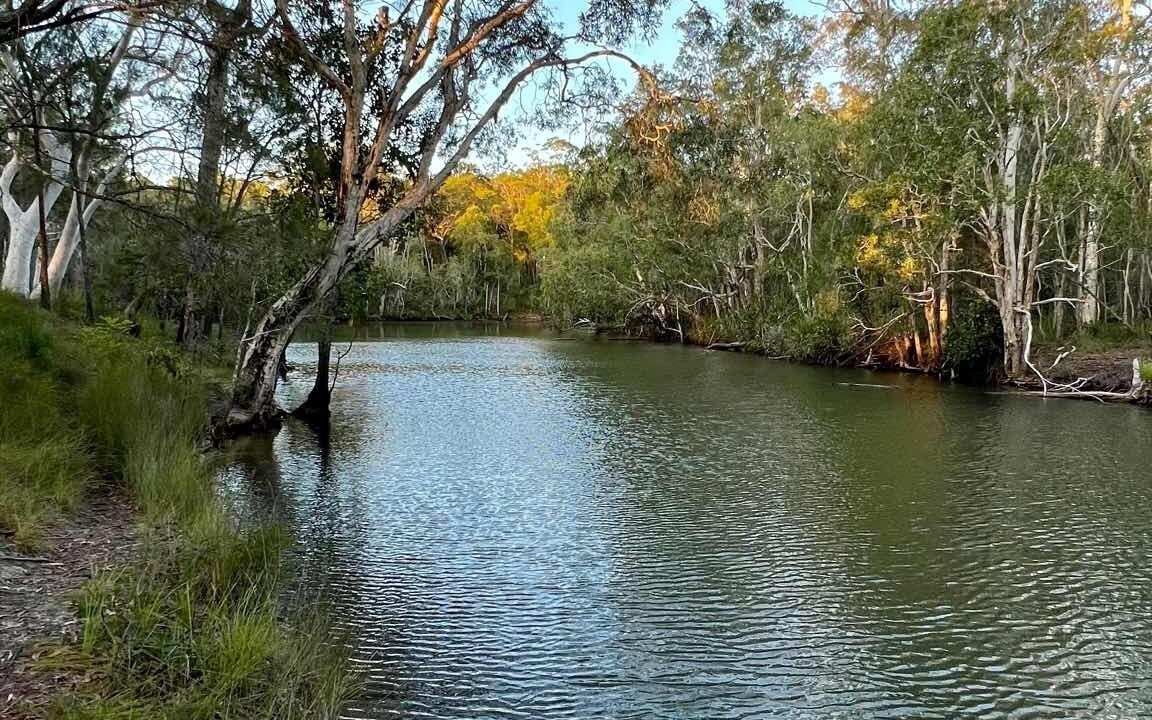 Photo of Others in Cooroibah