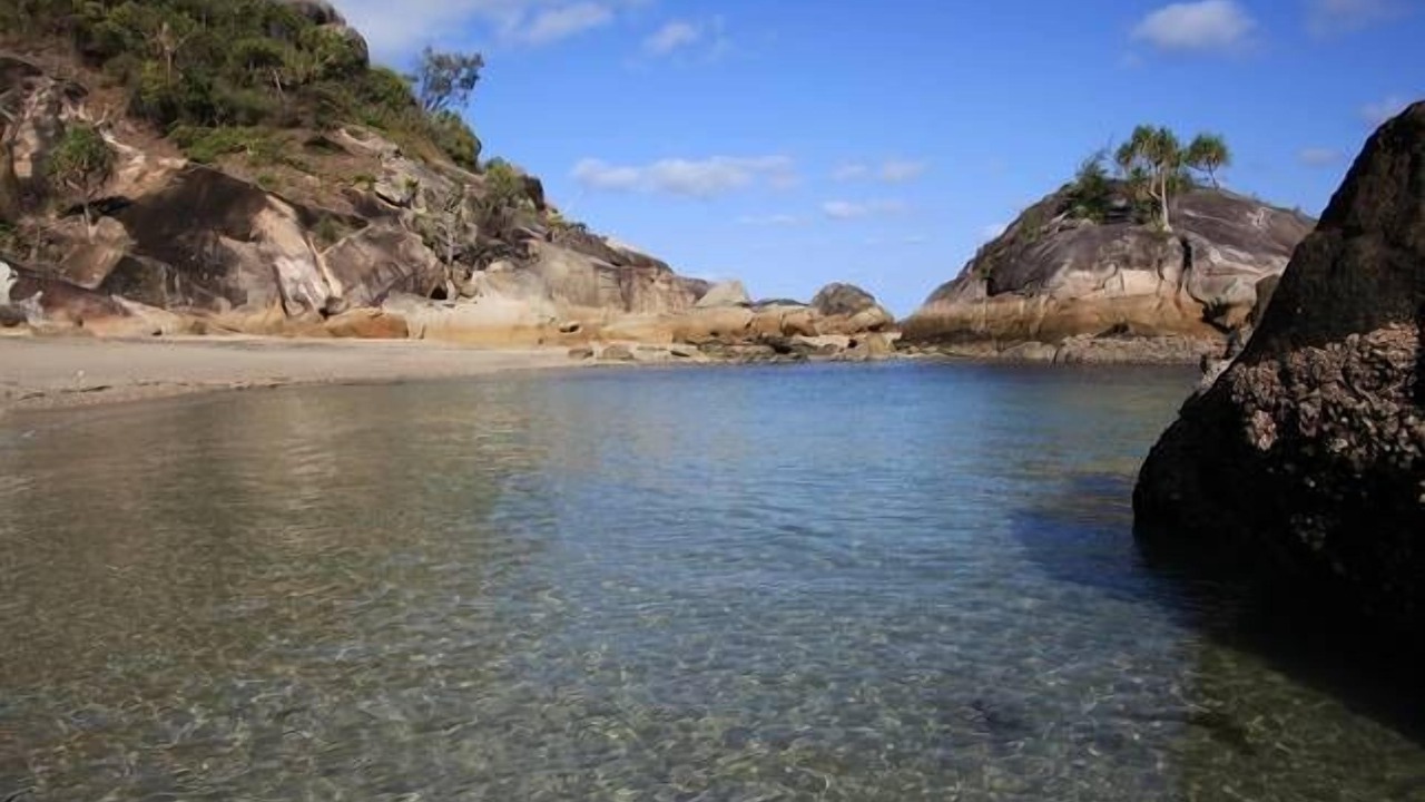 Photo of Others in Bedarra Island
