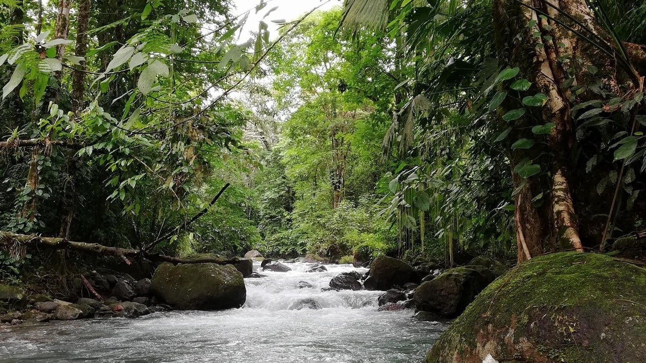Photo of Outdoor in La Fortuna