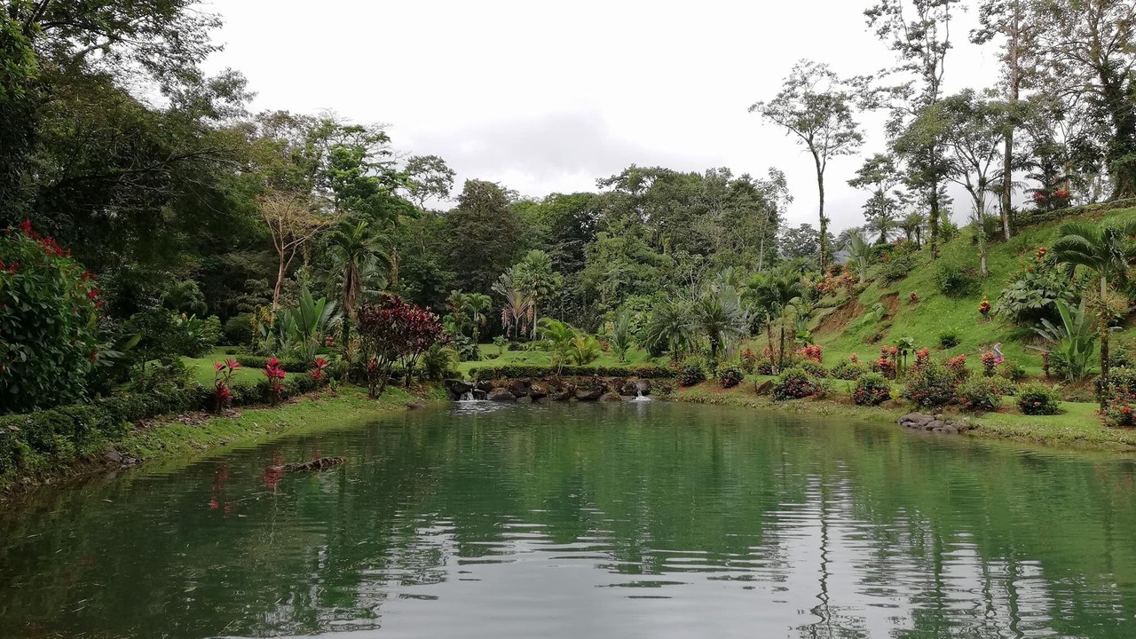 Photo of Others in La Fortuna