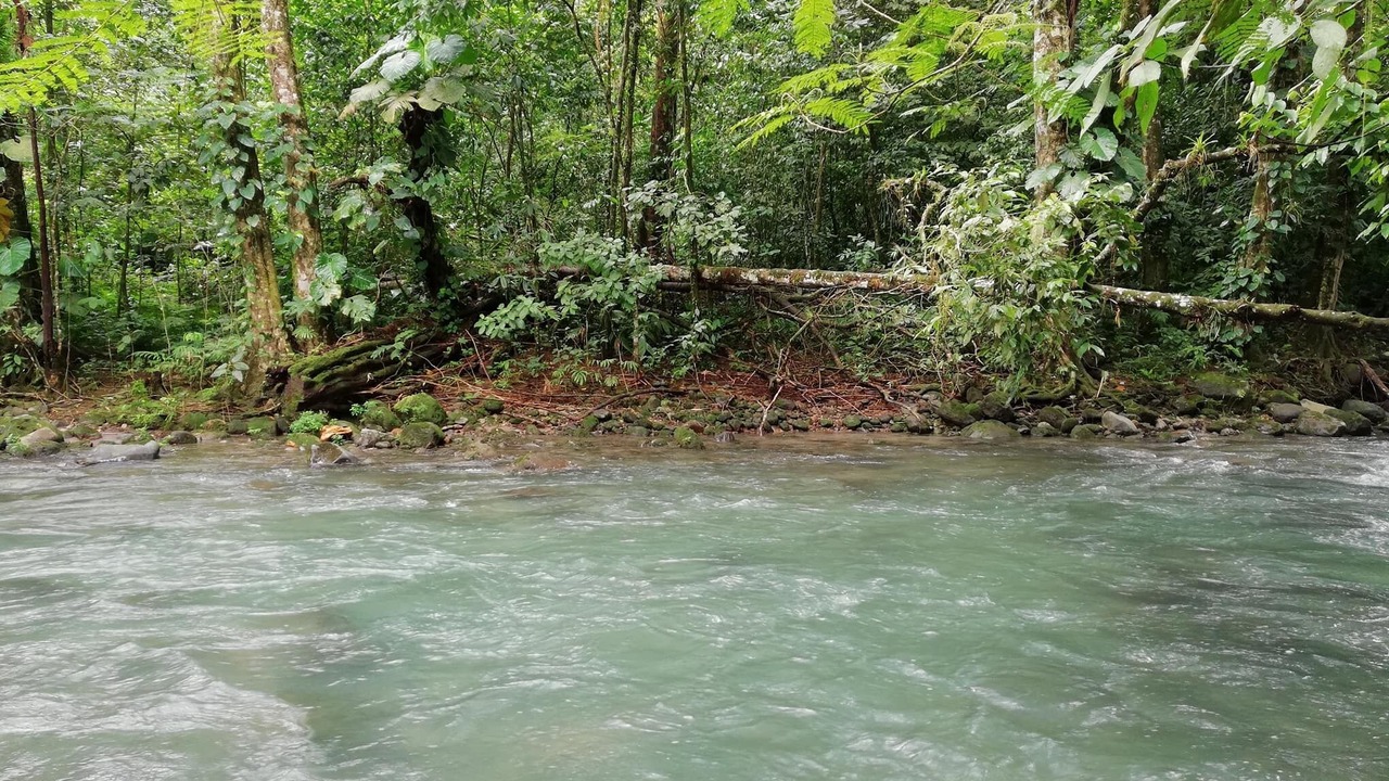 Photo of Others in La Fortuna