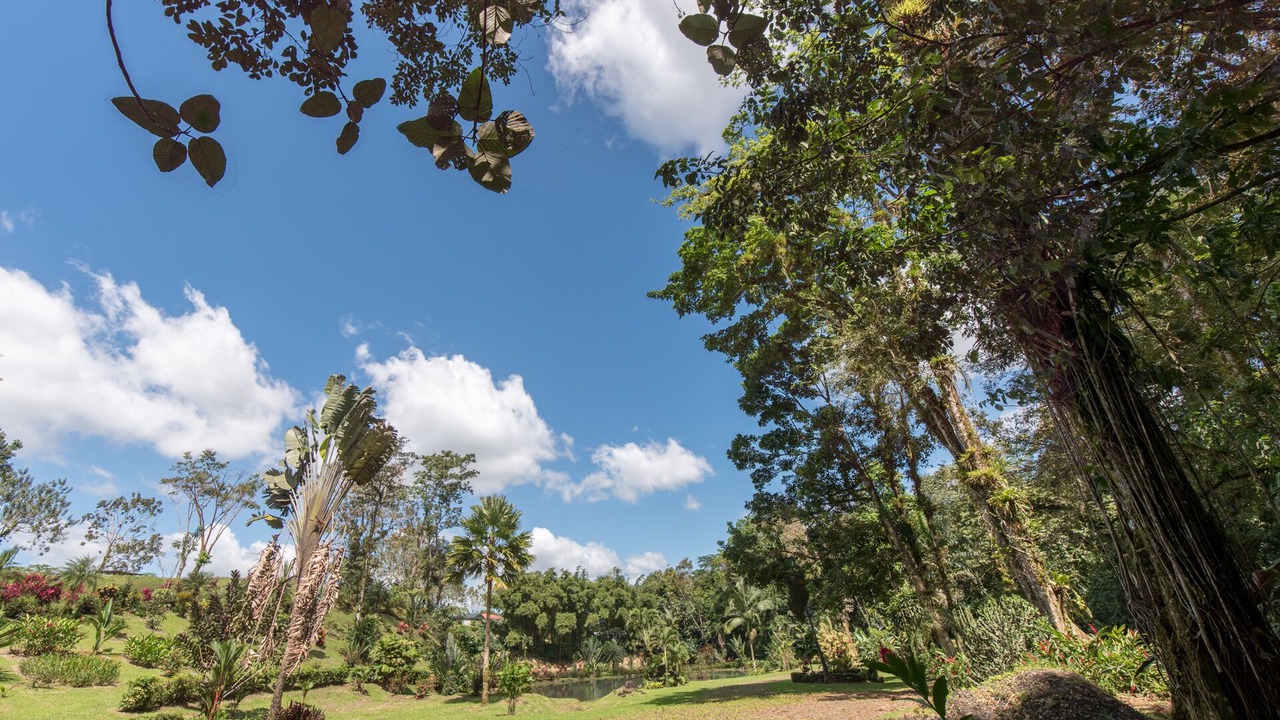 Photo of Outdoor in La Fortuna