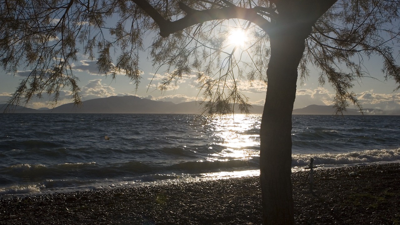 Photo of Others in Paradise Beach