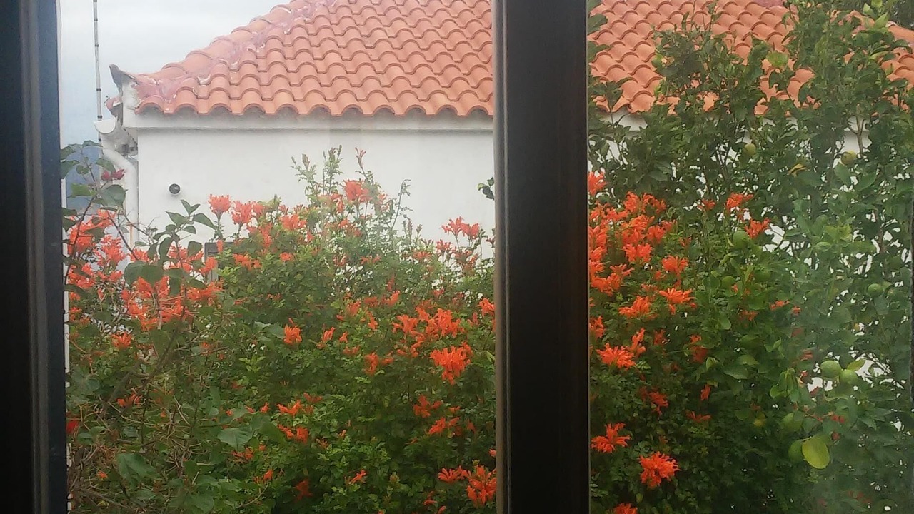 Photo of Outdoor in Voia
