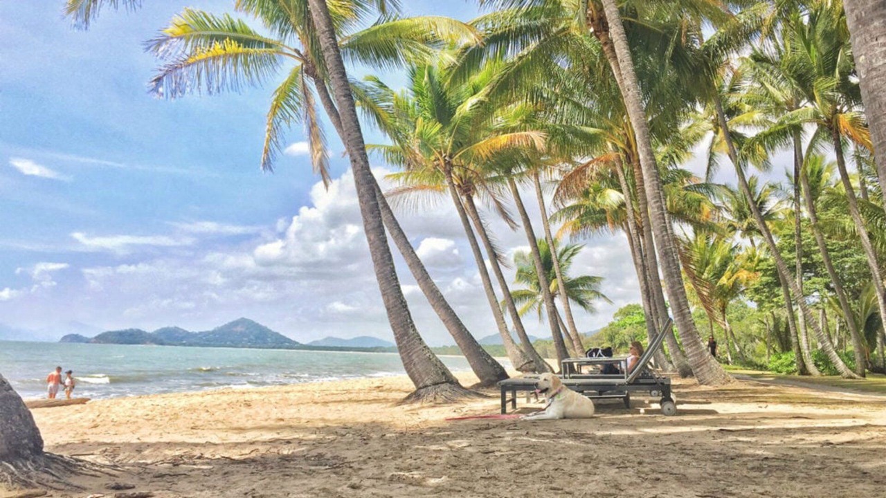 Photo of Others in Palm Cove
