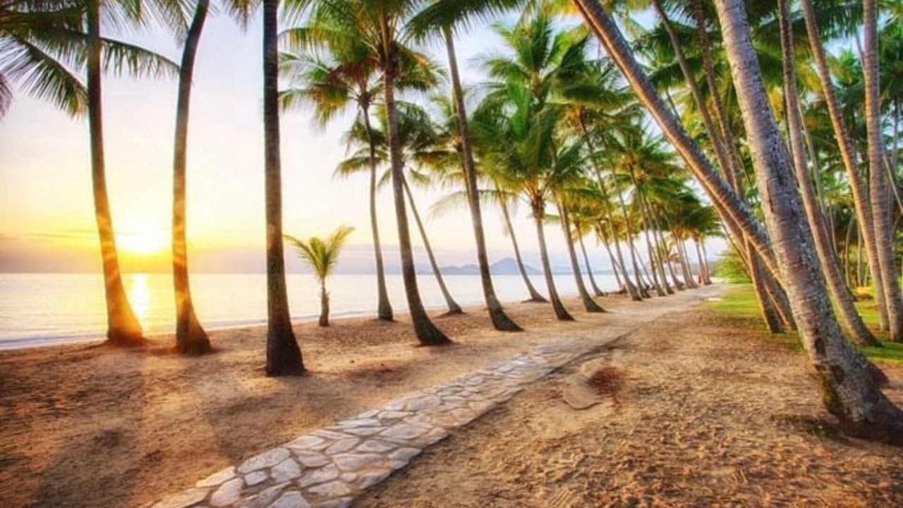 Photo of Others in Palm Cove