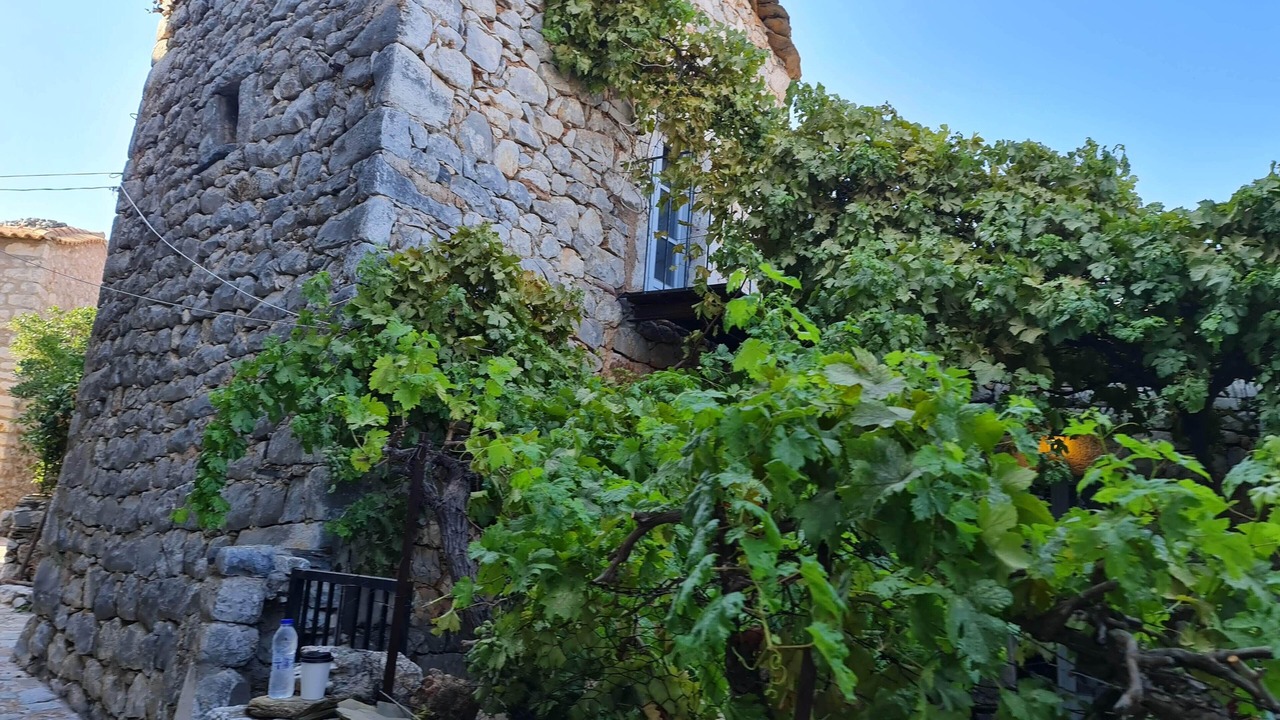 Photo of Outdoor in Layia