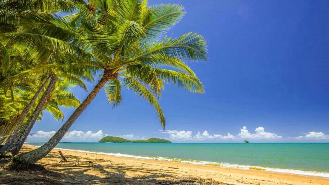 Photo of Others in Palm Cove
