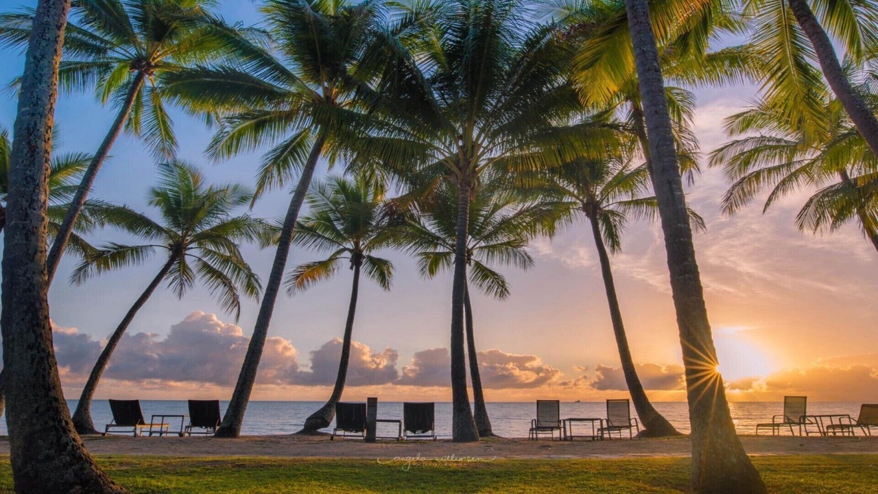 Photo of Others in Palm Cove