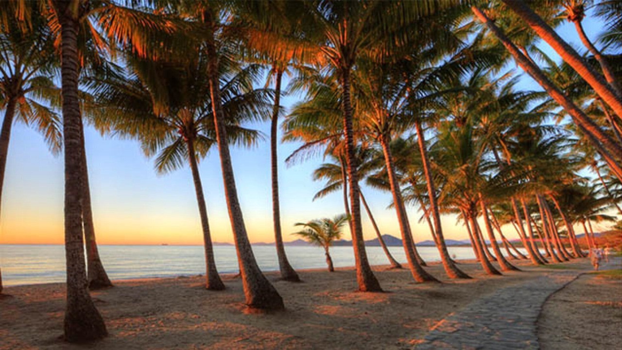 Photo of Others in Palm Cove
