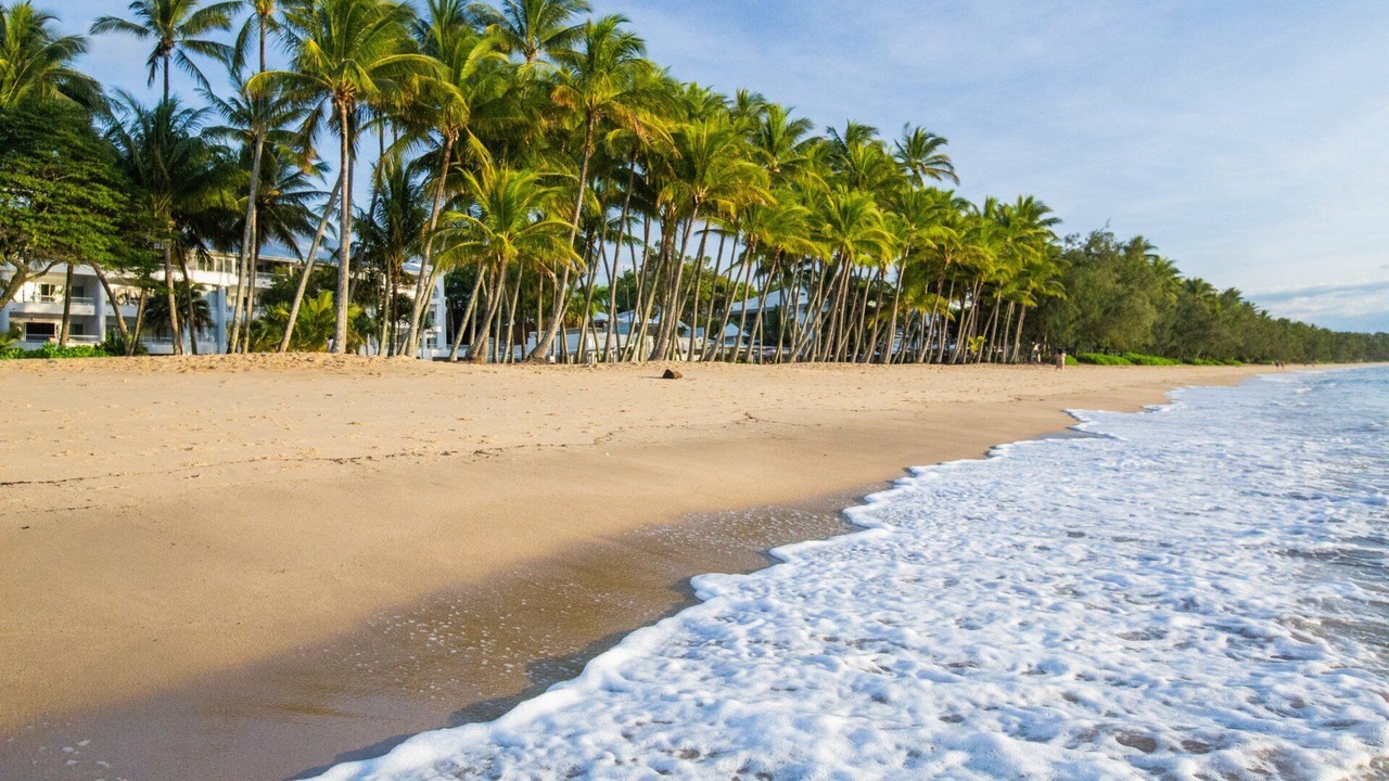Photo of Others in Palm Cove