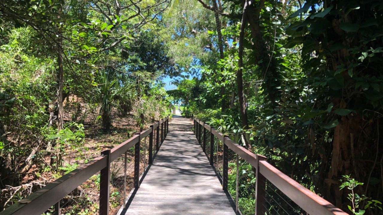 Photo of Outdoor in Palm Cove
