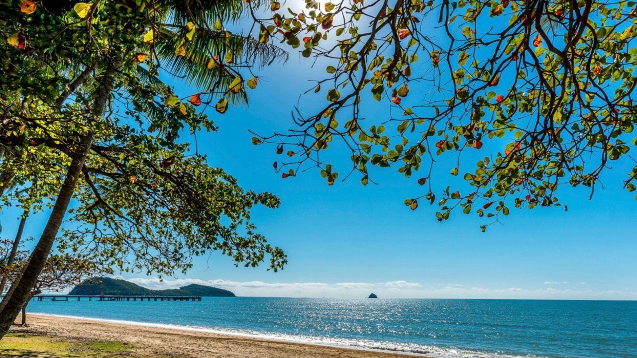 Photo of Others in Palm Cove