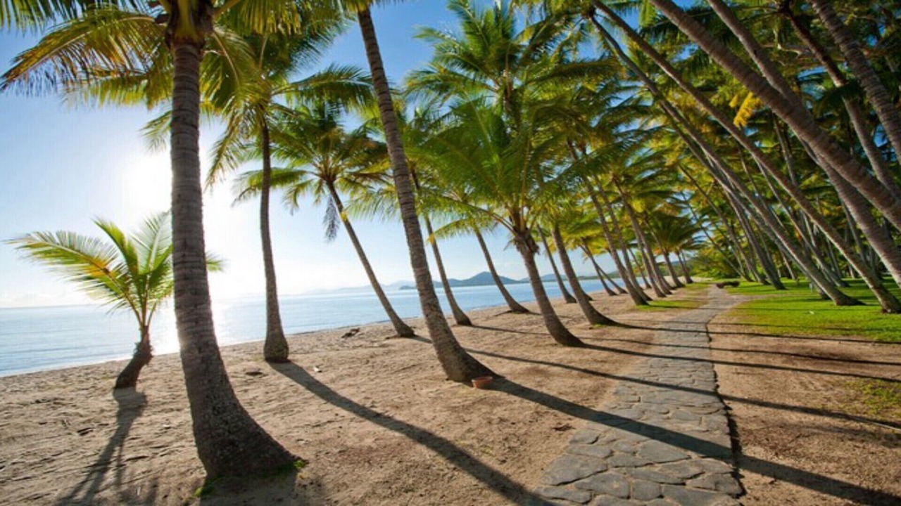 Photo of Others in Palm Cove
