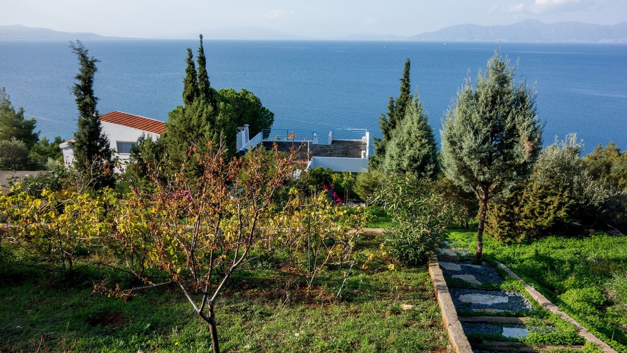 Photo of Outdoor in Theologos
