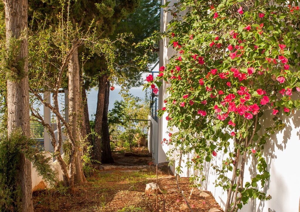 Photo of Outdoor in Theologos