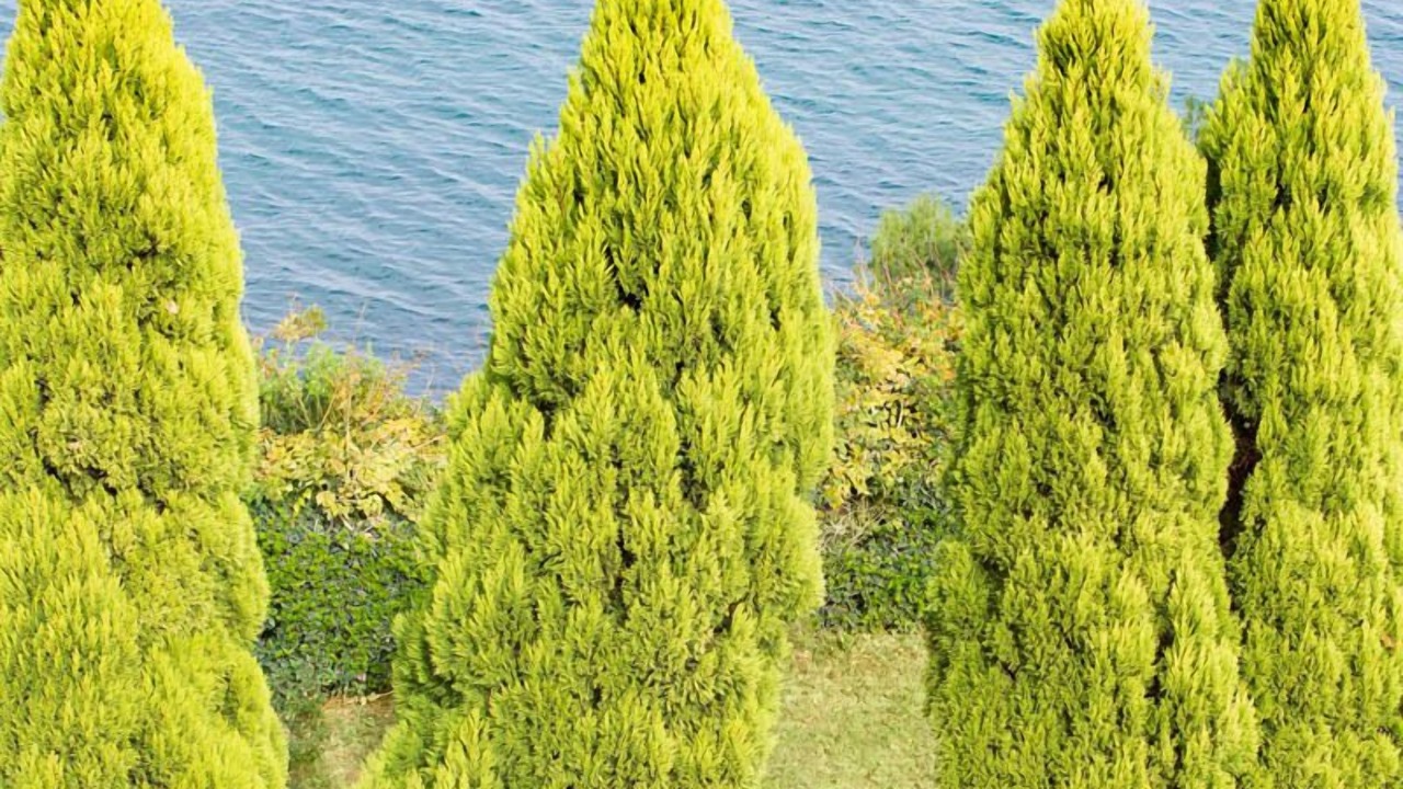 Photo of Outdoor in Skroponeria