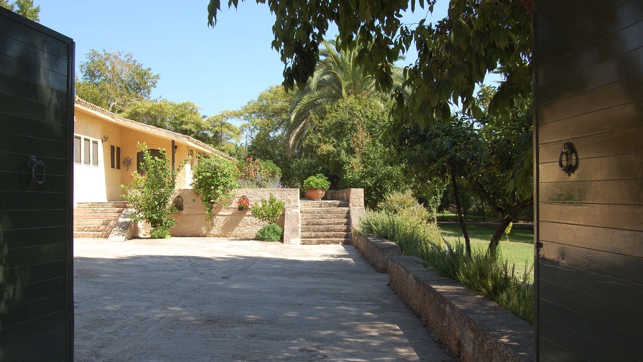 Photo of Outdoor in Stylida