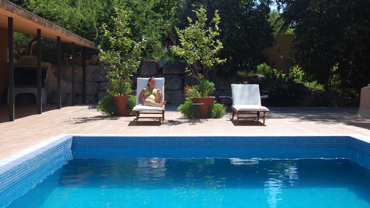 Photo of Outdoor in Stylida