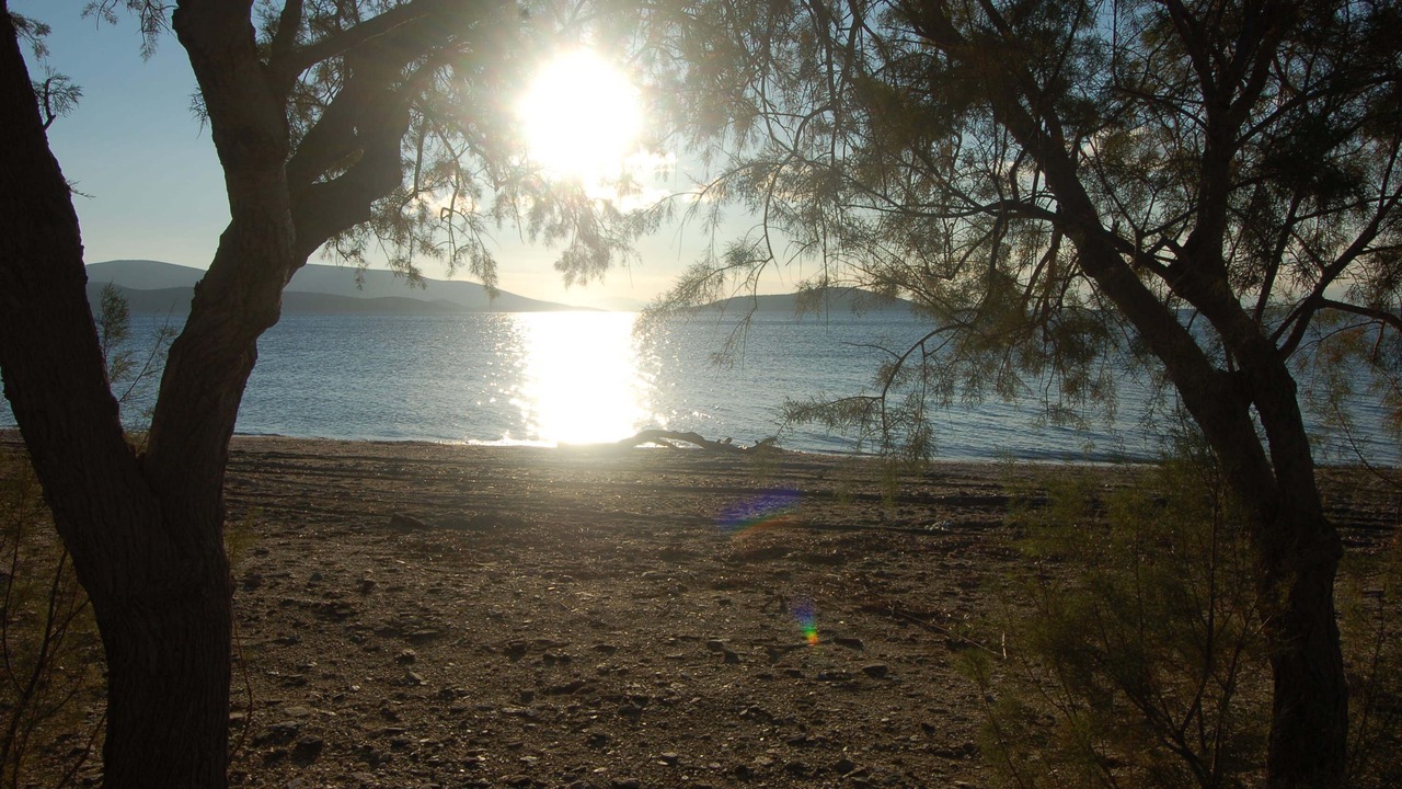 Photo of Others in Marmari
