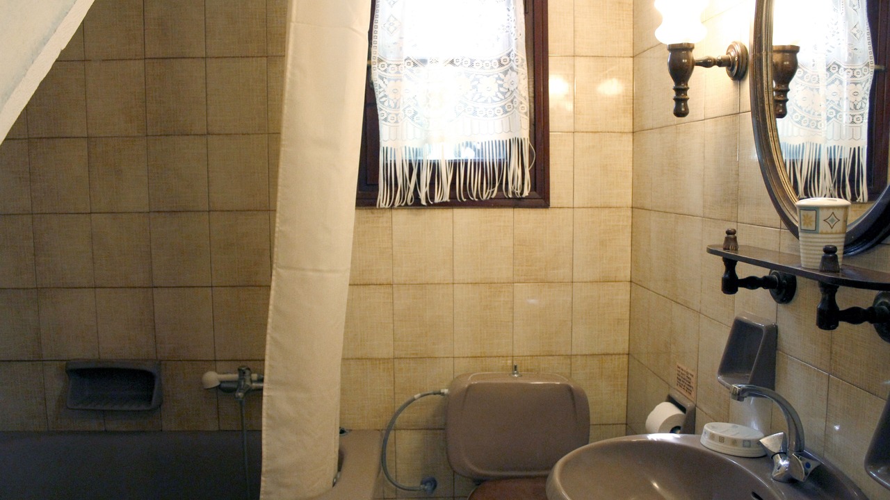 Photo of Bathroom in Skiros
