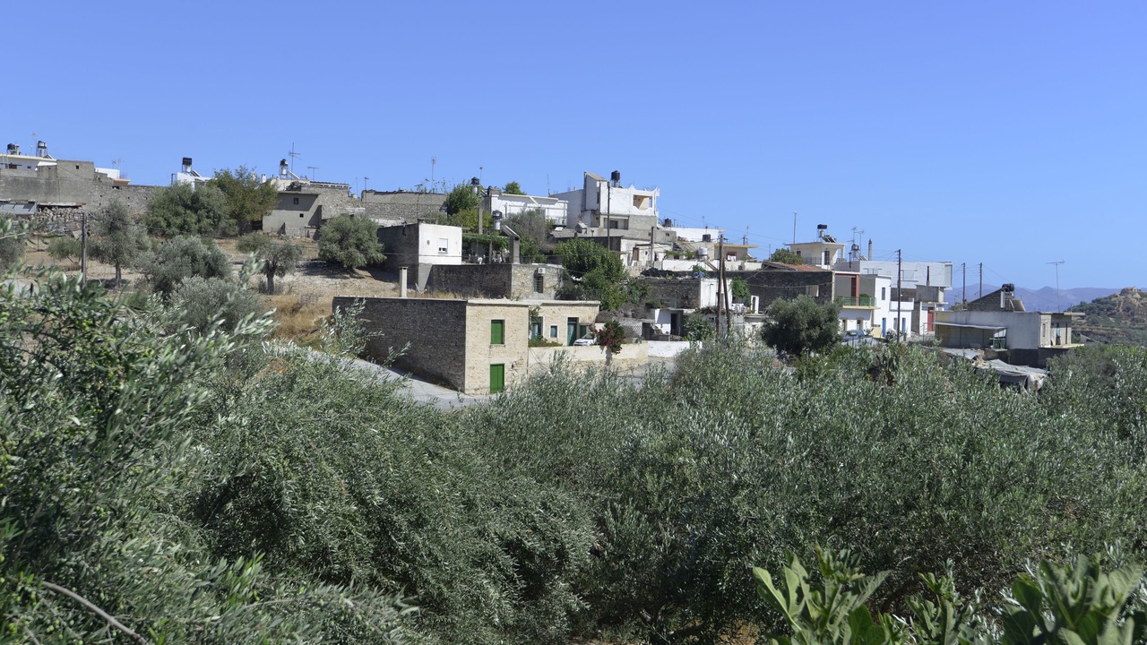 Photo of Outdoor in Galia