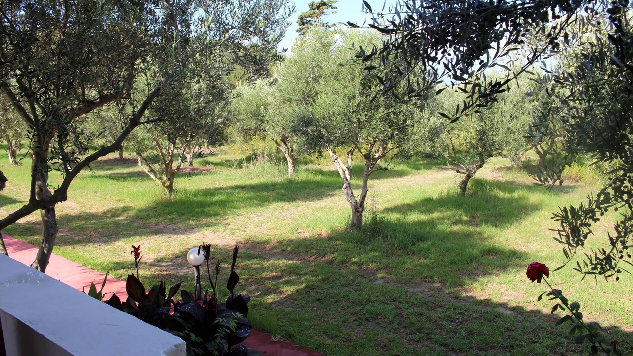 Photo of Outdoor in Andravida-Kyllini