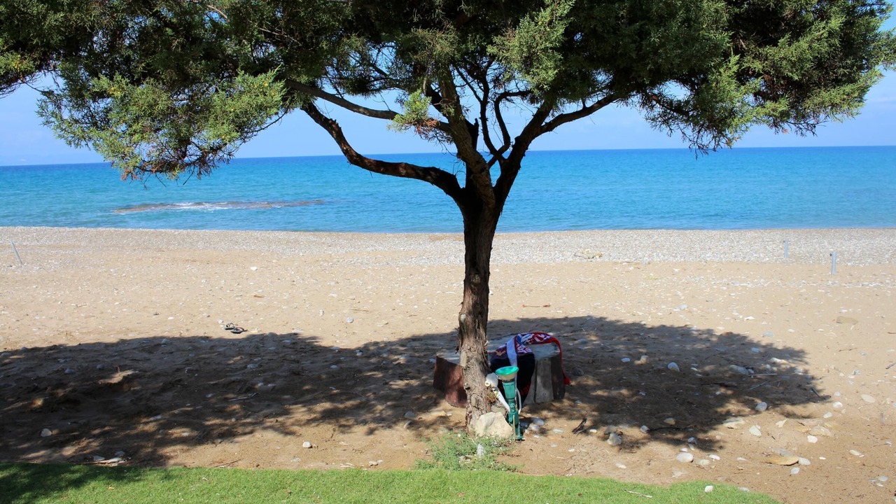 Photo of Others in Andravida-Kyllini