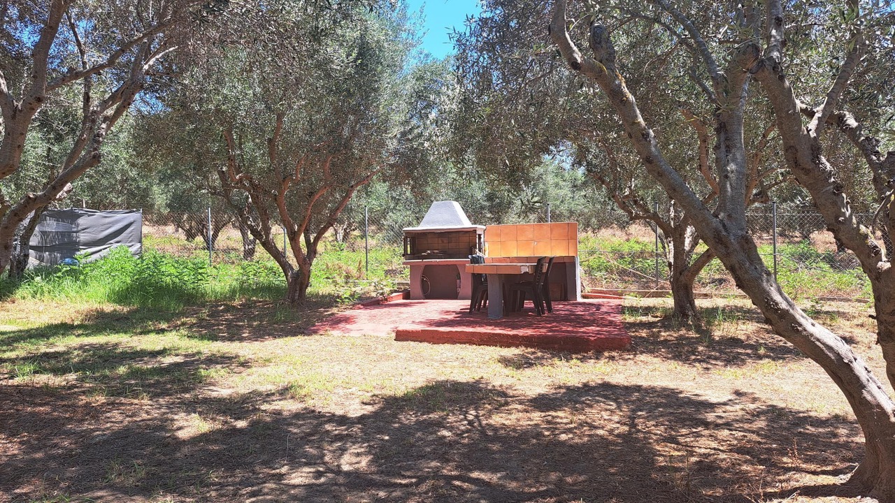 Photo of Others in Andravida-Kyllini