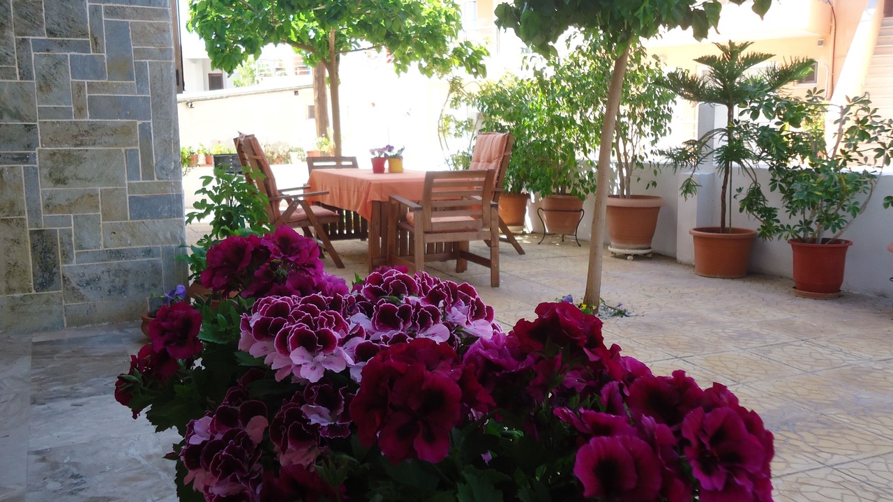 Photo of Outdoor in Drepano