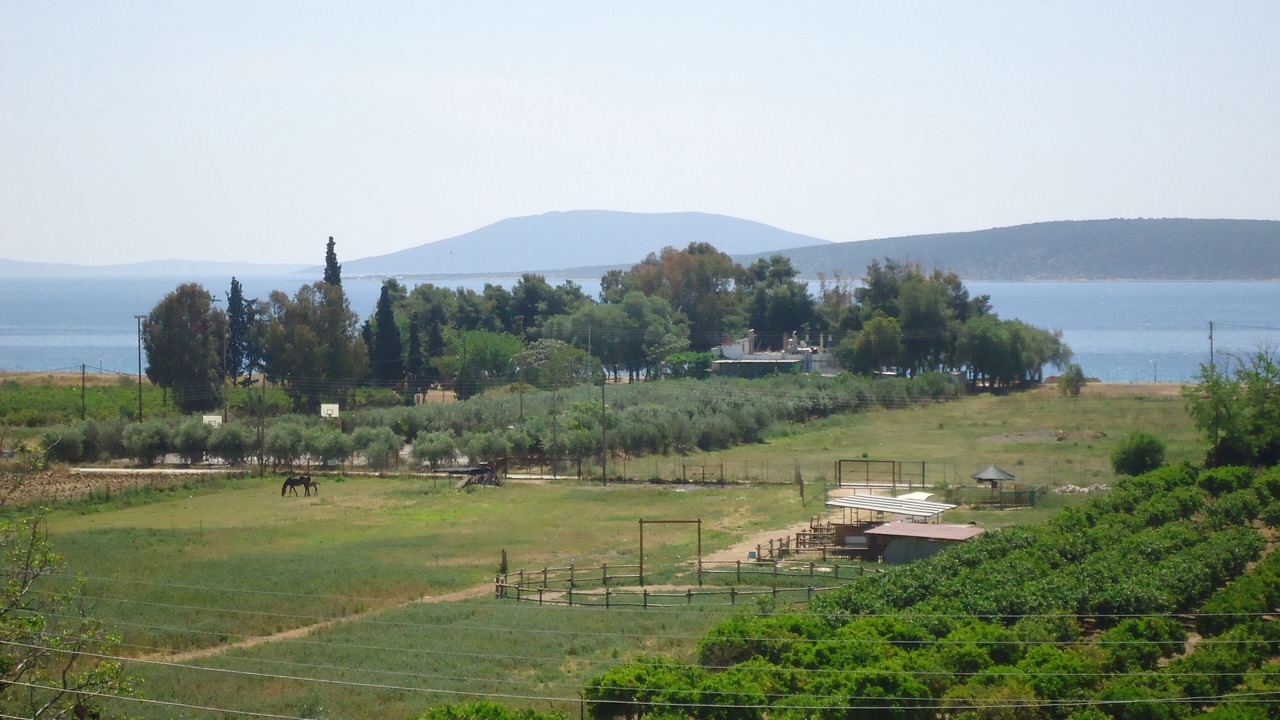 Photo of Others in Drepano