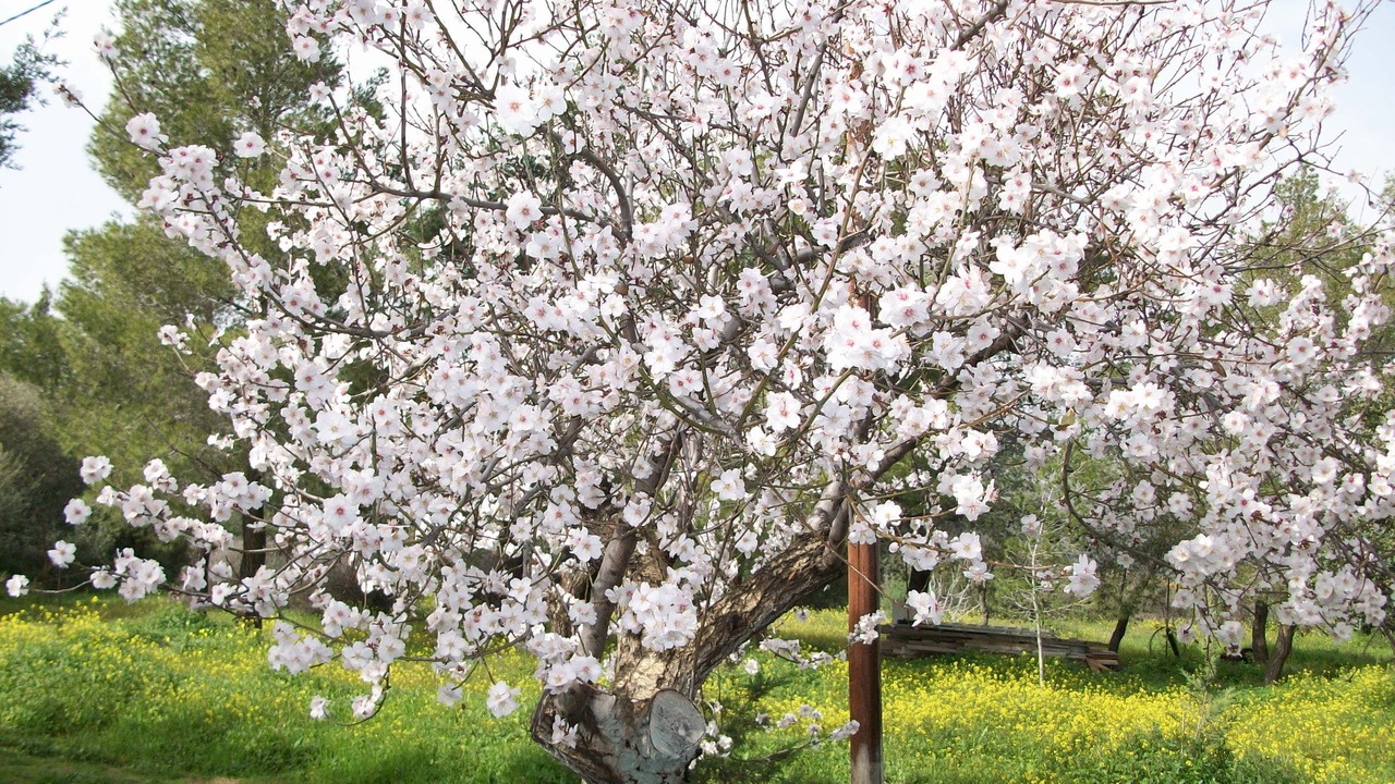Photo of Outdoor in Galaxidi