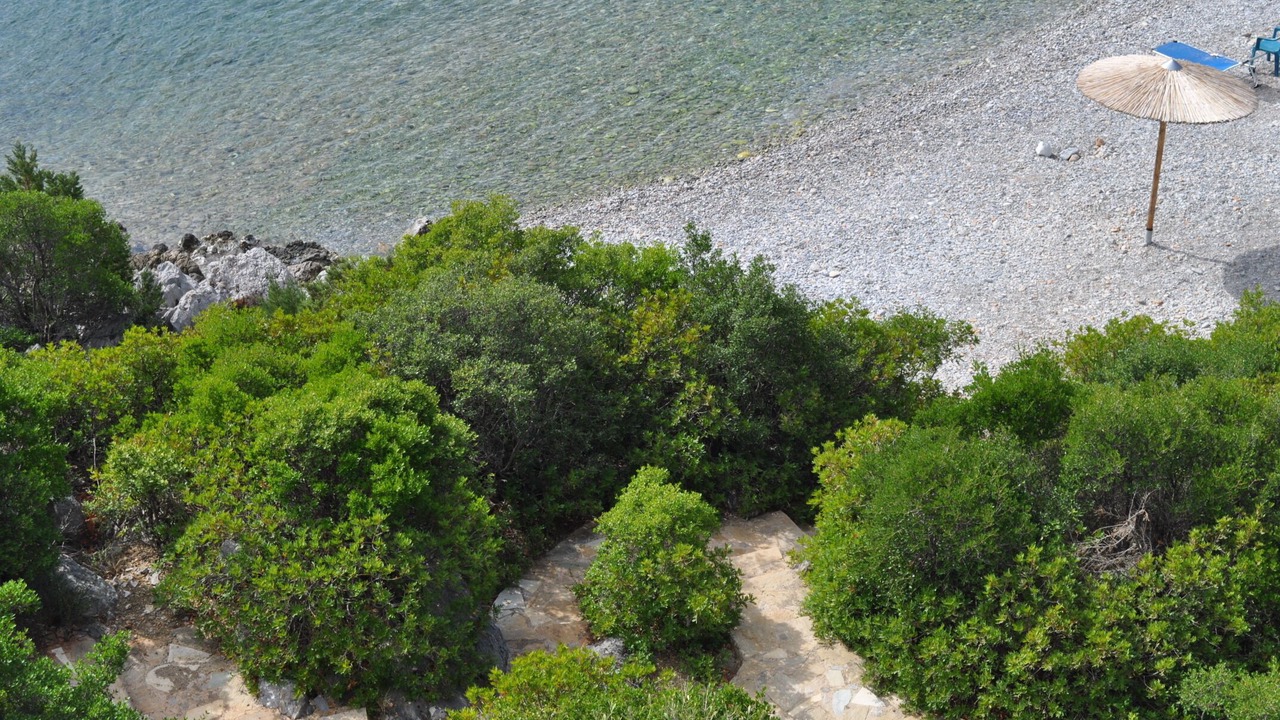 Photo of Others in Arkadiko Chorio