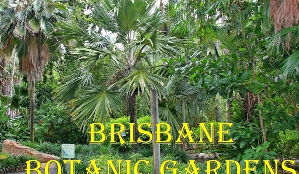 Photo of Others in Toowong