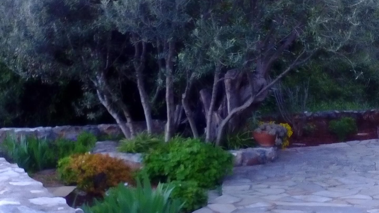 Photo of Outdoor in Limeni