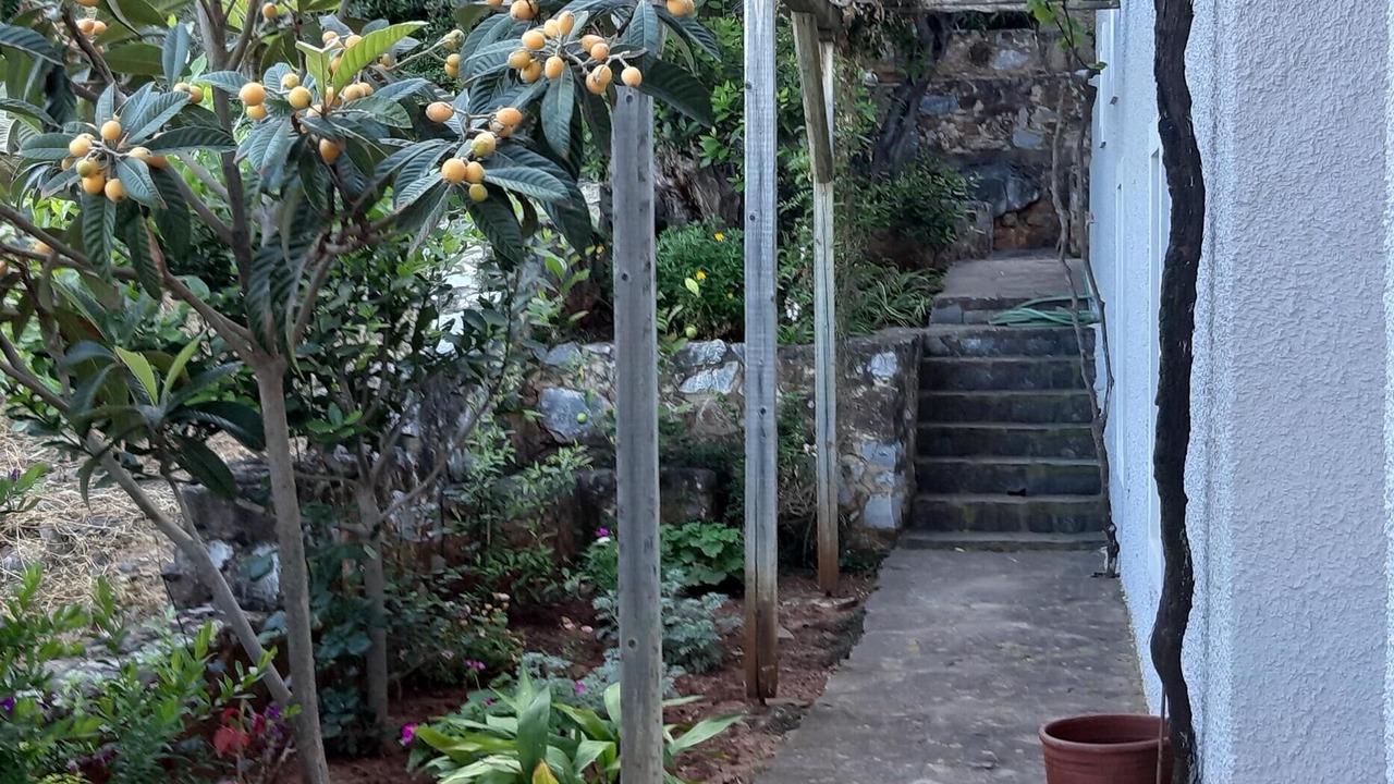 Photo of Outdoor in Limeni