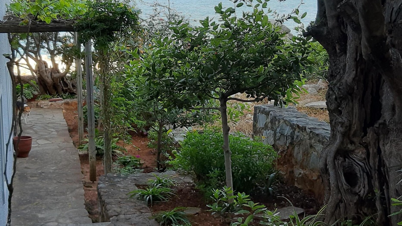 Photo of Outdoor in Limeni