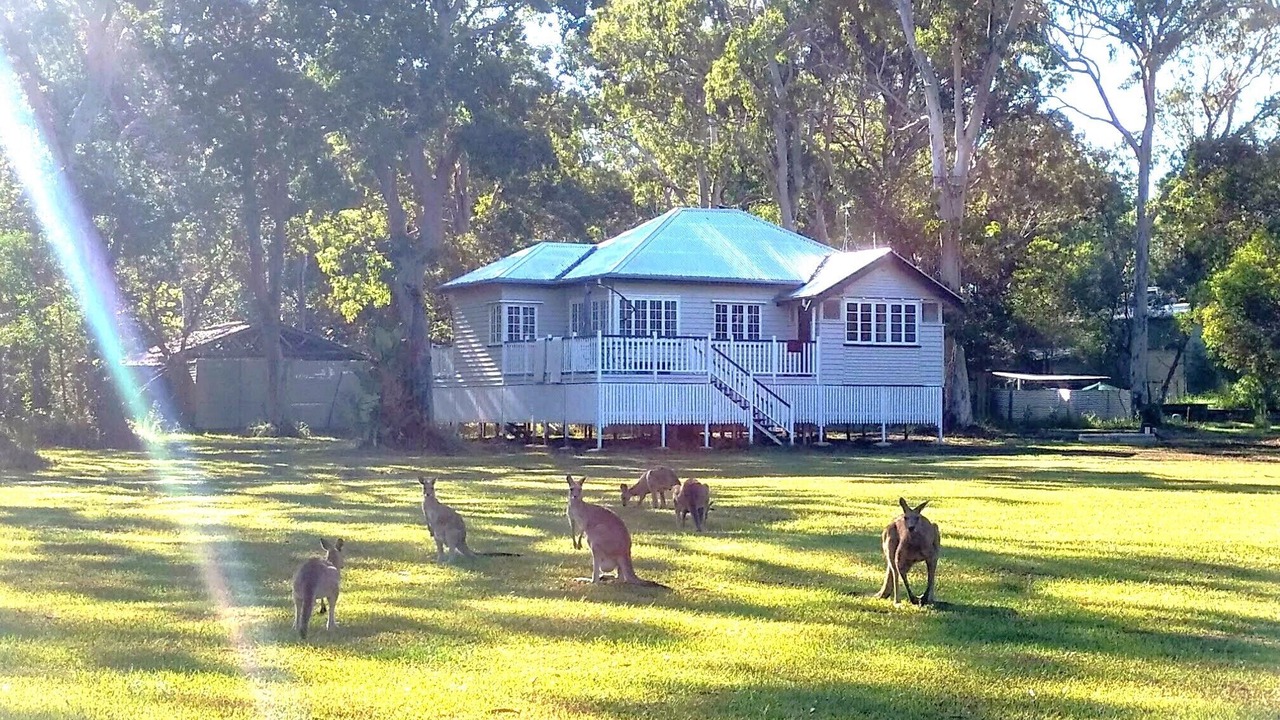 Photo of Others in Peregian Beach