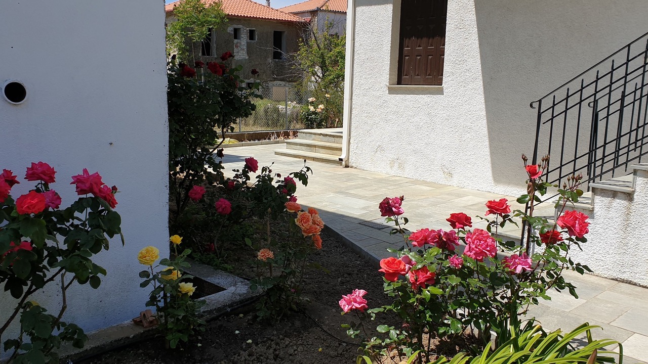 Photo of Outdoor in Horto