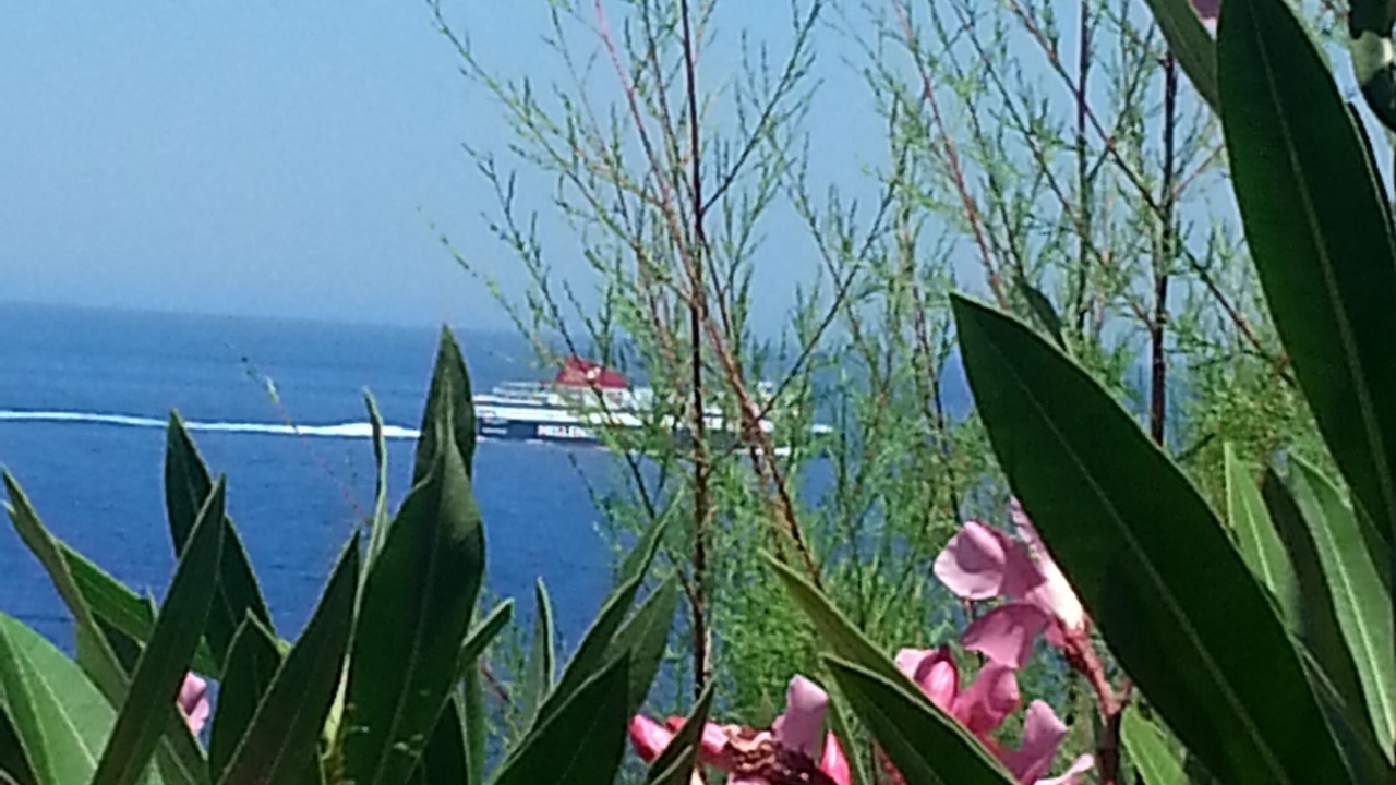 Photo of Outdoor in Gialiskari