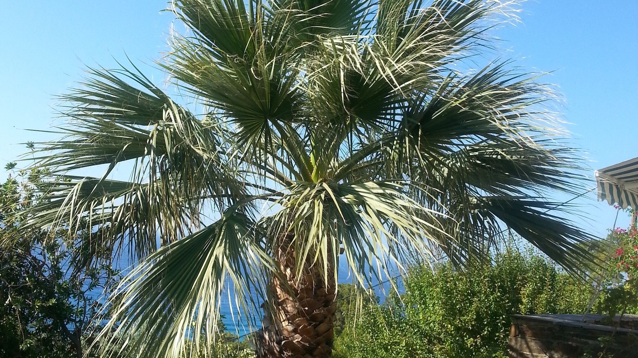 Photo of Outdoor in Gialiskari