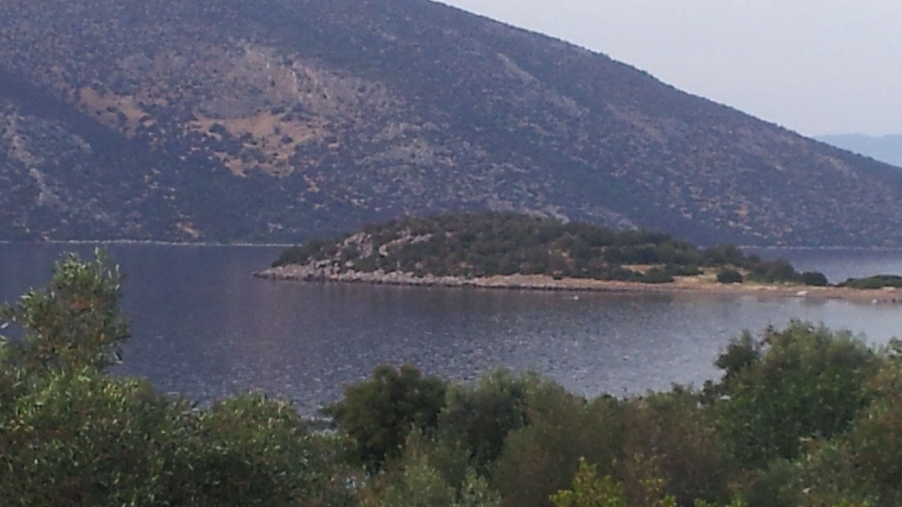 Photo of Others in Skroponeria
